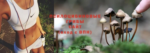 синтетический гашиш Медногорск