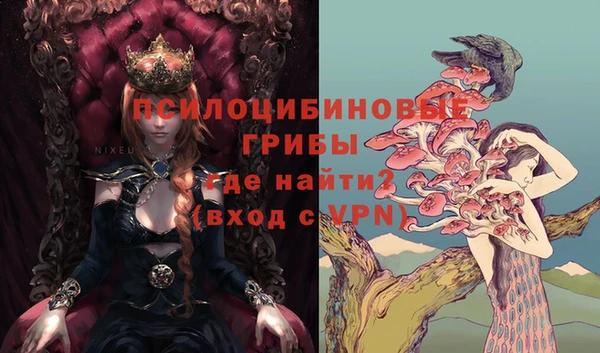 бошки Мегион