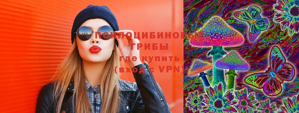бошки Мегион