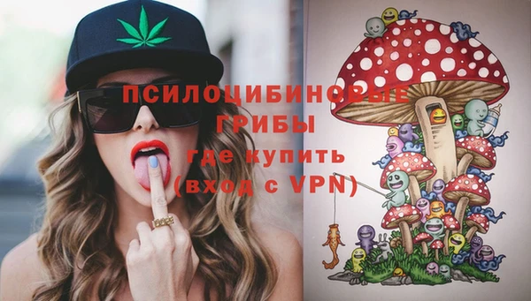 PSILOCYBIN Иннополис