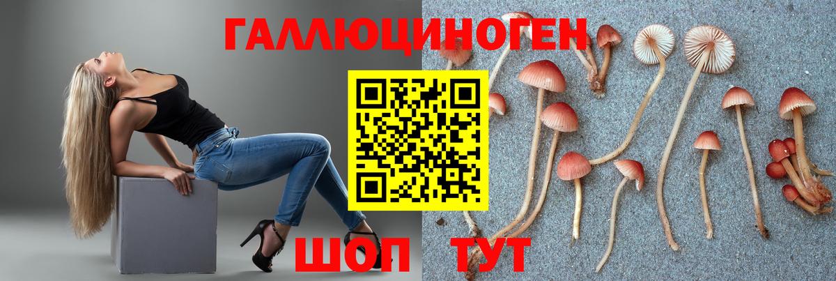 A PVP Апрелевка