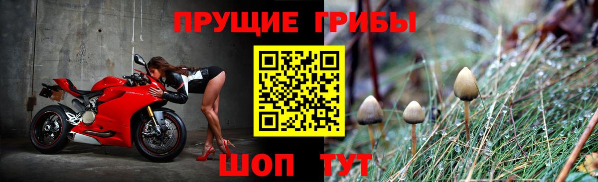 Псилоцибиновые грибы Magic Shrooms  Вход с VPN  Апрелевка 