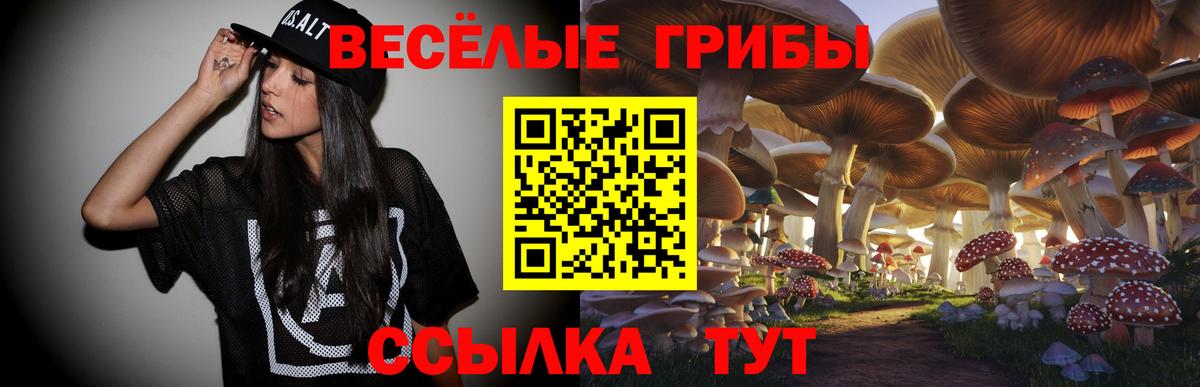 Галлюциногенные грибы мицелий Апрелевка