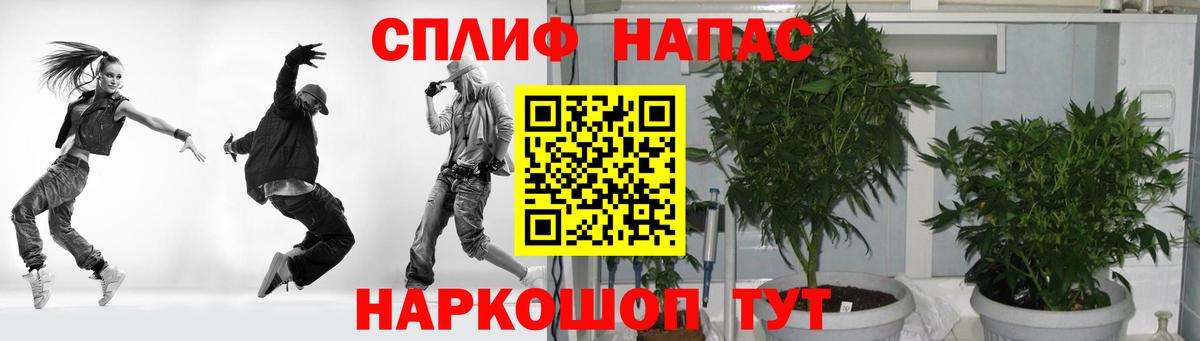 Канабис White Widow  Апрелевка  Конопля семена  Бошки марихуана марихуана 